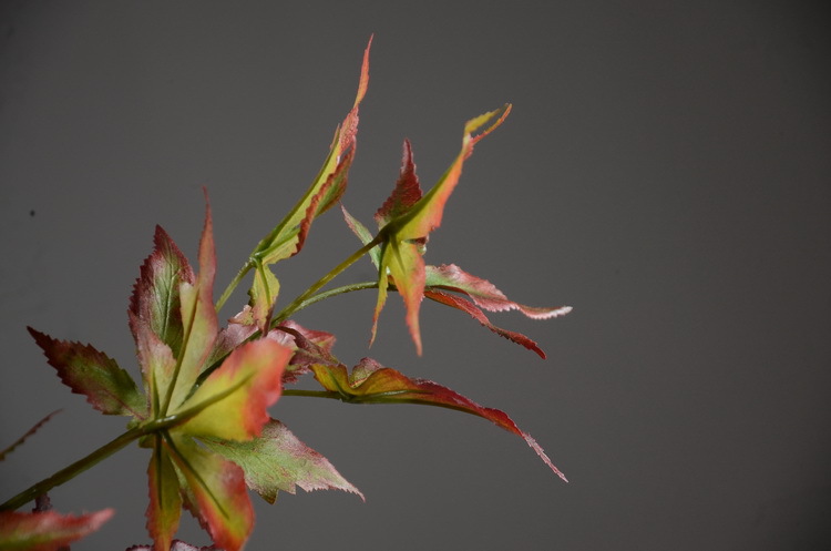 Factory wholesale of artificial flowers, direct sales from the manufacturer, wholesale of artificial green plants, home decoration flowers, red artificial leaves, artificial maple leaves pic 22
