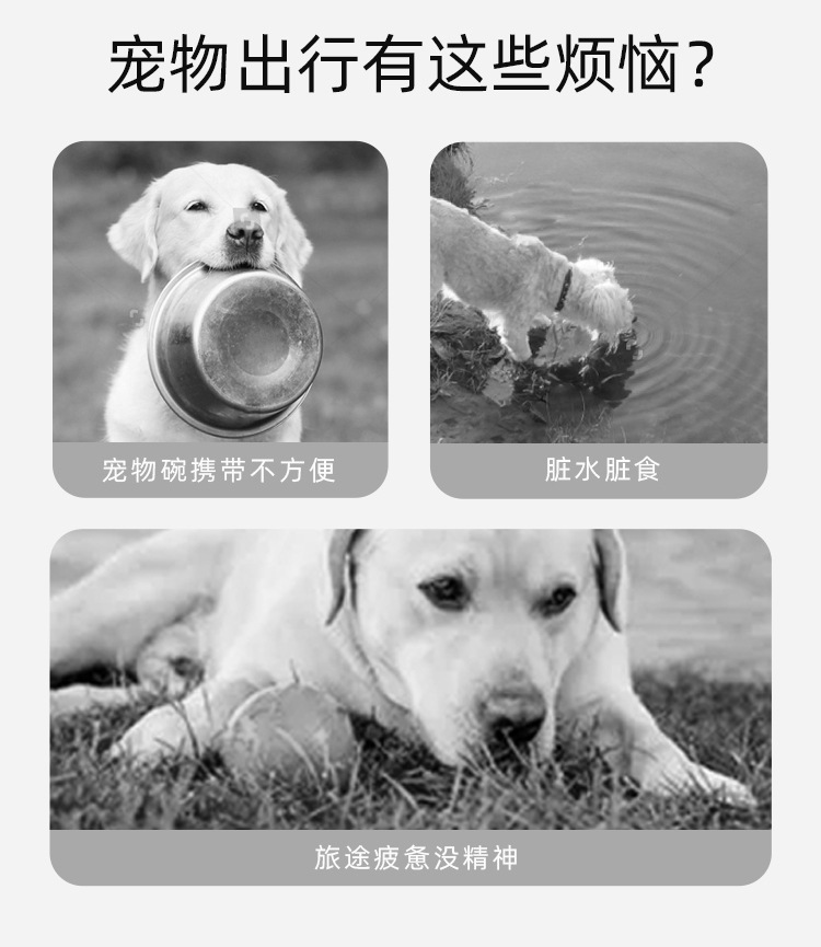 Small outdoor folding bowl, double-layer drinking and eating bowl, portable drinking bowl for going out, dog basin, pet food utensils, dog bowl pic 3