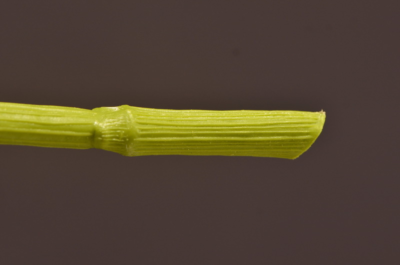 Wholesale of artificial lace and artificial green plants from the original factory, flower arrangement materials, and artificial plants for home, hotel, wedding and decoration pic 23