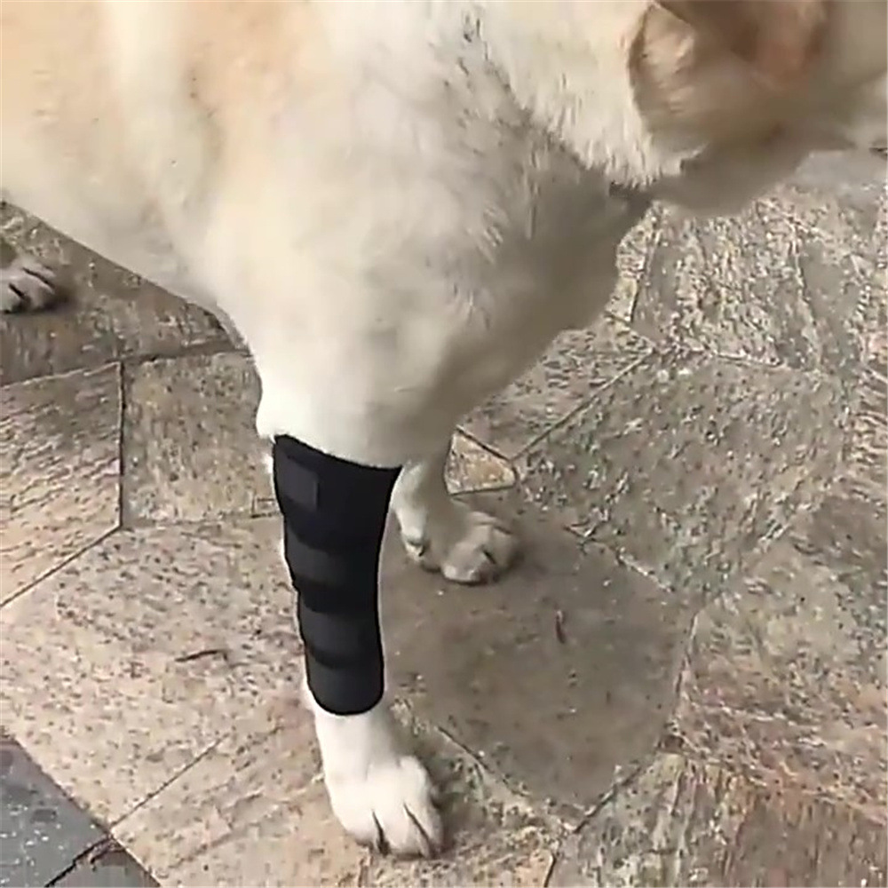 Pet knee pads, dog injury protection covers, pet surgery recovery joint protection leg guards, durable pet supplies pic 5