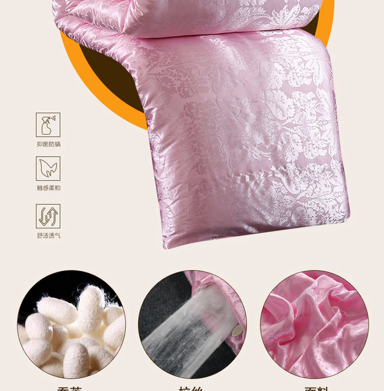 ywxuege Antarctic People Hotel Down Quilt 95 Goose Hanging thickened Warm Winter Quilt Core Single and Double Light Luxury Gift Quilt 20220706 pic 4