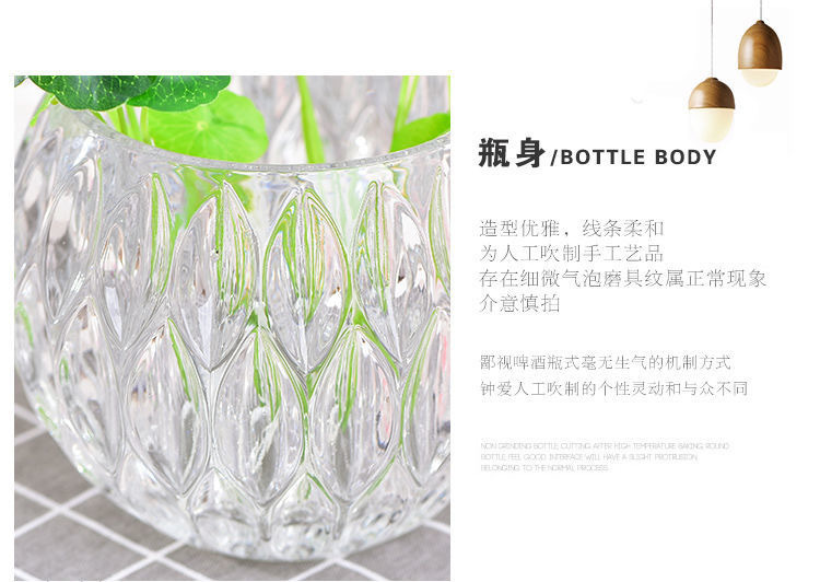 Hydroponic plant glass bottles, round glass vases, transparent green ivy and duck intestines containers, hydroponic flowerpots, vessels and containers pic 6