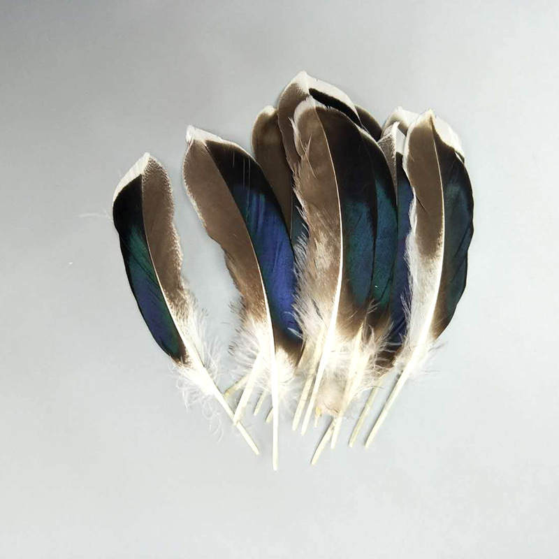 厂家批发珍珠鸡毛彩色羽毛 服装DIY手工工艺品饰品耳环材料野鸡毛详情32