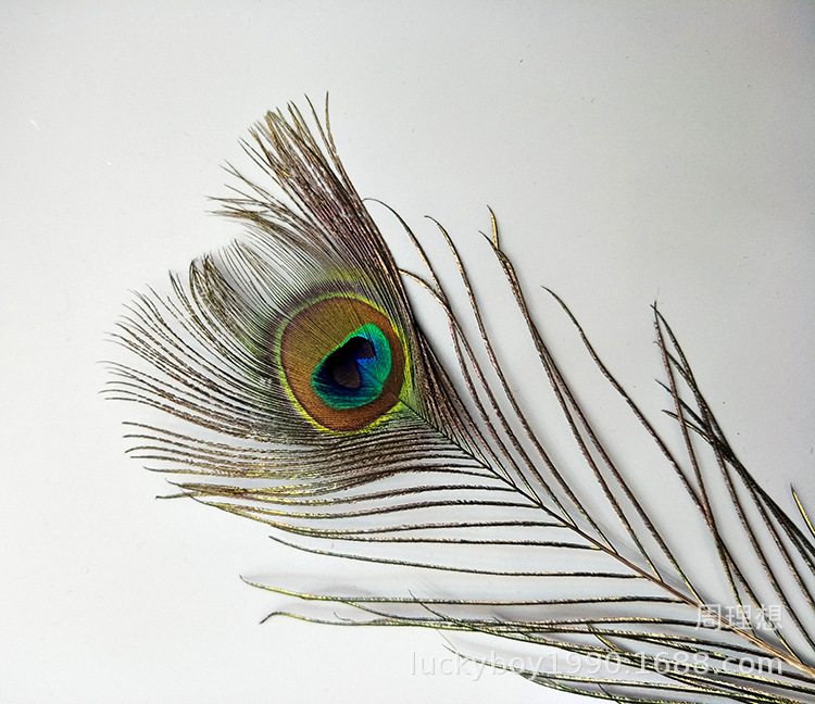 25-30cm peacock feather home decoration items, DIY handcrafted earrings, accessories, props, flower arrangement decorations, peacock feathers pic 21
