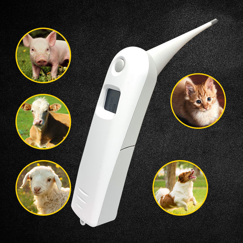 Veterinary electronic thermometers and thermometers for pigs, cattle and sheep, cats and dogs, and soft-tipped thermometers for pets pic 1