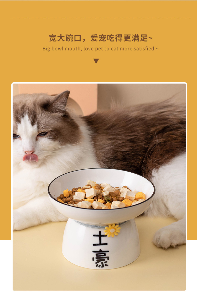 Ceramic cat and dog bowls, pet bowls, creative text, slanted mouth, high feet to protect the cervical vertebrae and prevent black chins, cat and dog food bowls pic 9
