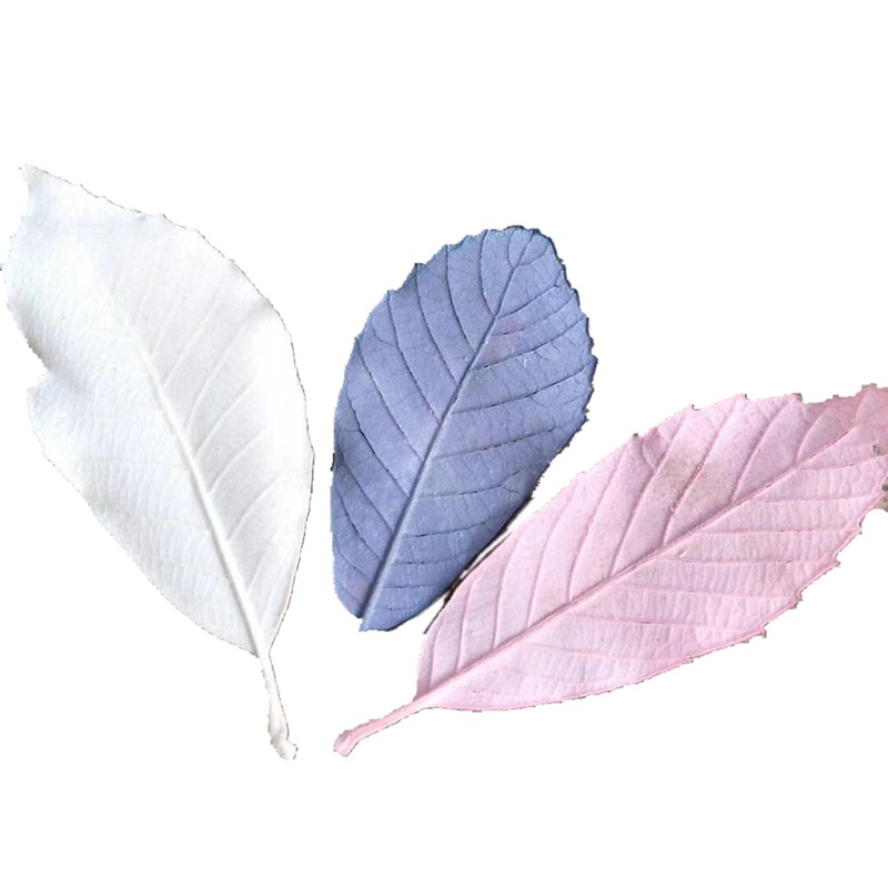 Natural plants, preserved flowers, oak leaves, flower arrangement handicrafts, soft furnishings, grass pic 2