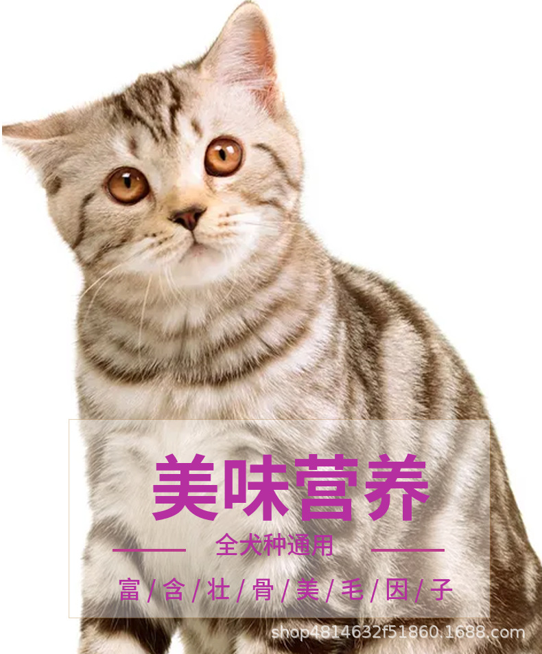 猫粮无谷鲜肉成幼猫肠道泌尿呵护美毛泪痕宠物食品批发猫主粮厂家详情18
