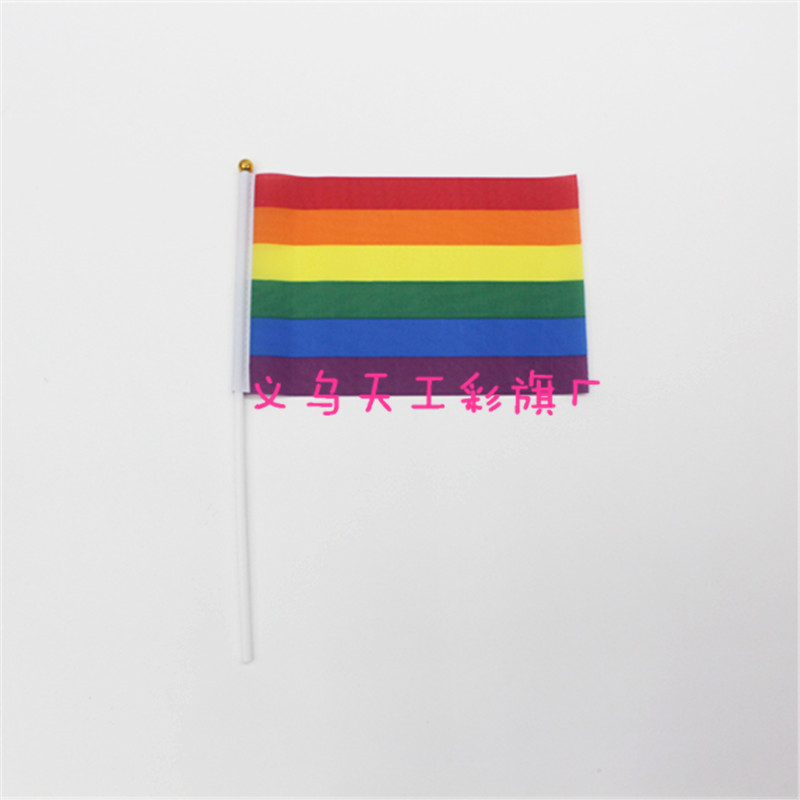 Rainbow Flag No. 8, 14x21, custom-made multi-color flag for gay flag-bearers pic 3
