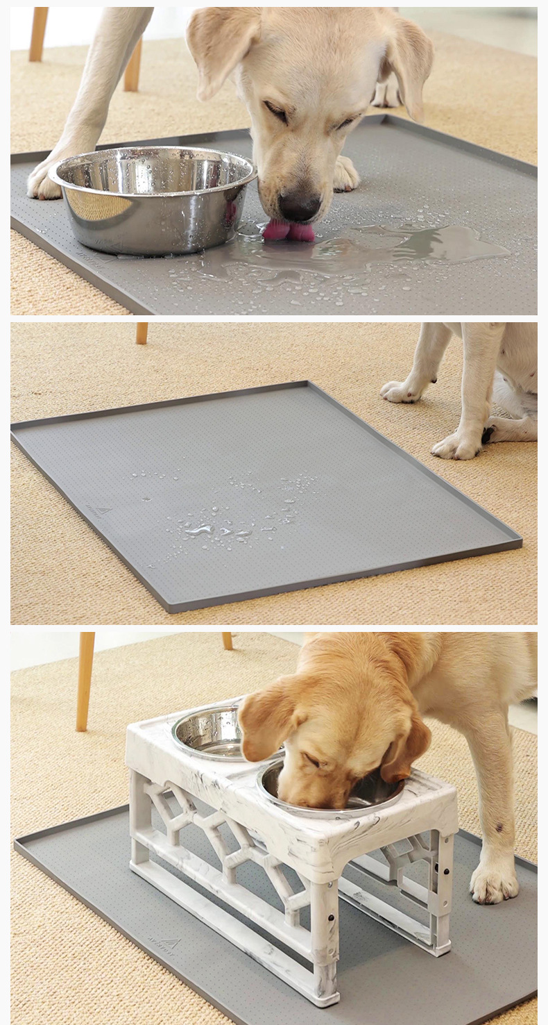 亚马逊宠物背带喂食器猫狗饮水机止吠器产品拍照摄影视频制作服务详情12