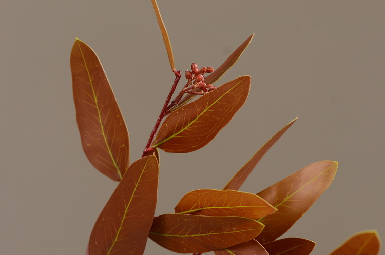 Dongli Flower Industry, the original manufacturer, offers direct sales of green plants in stock, wholesale of artificial leaves, round leaves with fruits, eucalyptus leaves, eucalyptus leaves, and one-piece consignment pic 35