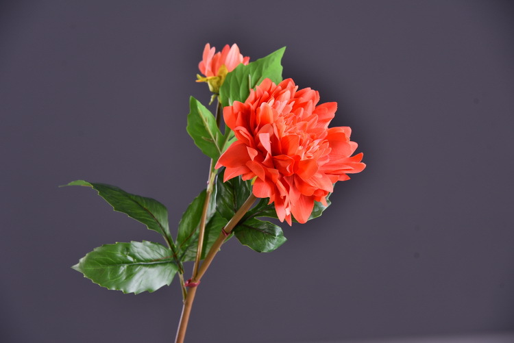 Factory direct sales of high-end artificial dahlia with realistic touch, wholesale of high-end artificial dahlia for home decoration, shopping malls and hotels pic 22