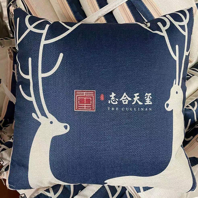 Dual-purpose, two-in-one, logo printed, multi-functional car sofa cushion quilt, advertising gift, throw pillow quilt pic 12