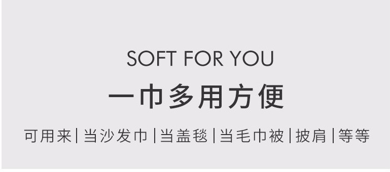 大老鹰-简约时尚双面沙发垫盖毯沙发巾INS网红单三人位沙发套罩详情1