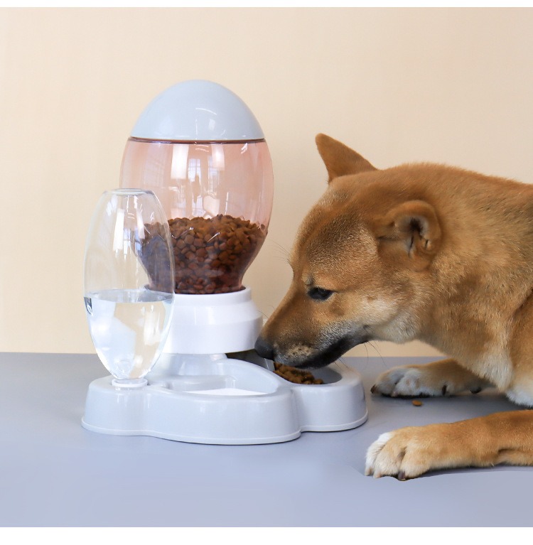 Wholesale of cat automatic feeders, two-in-one cat food bowls, pet water dispensers, no wet mouth, prevent knocking over pet bowls pic 15