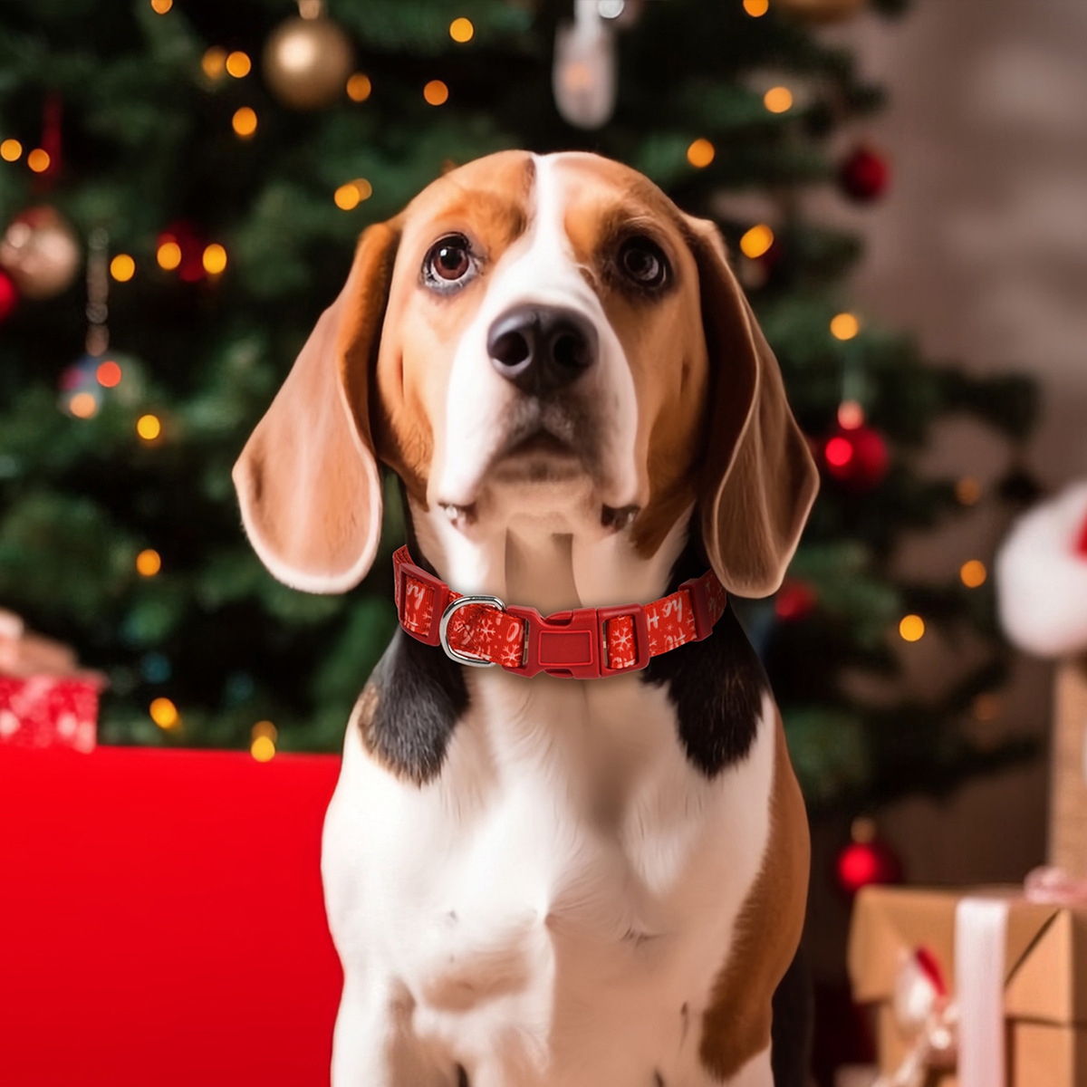 跨境新款宠物用品圣诞节系列猫咪宠物狗狗项圈圣诞宠物狗脖圈详情9