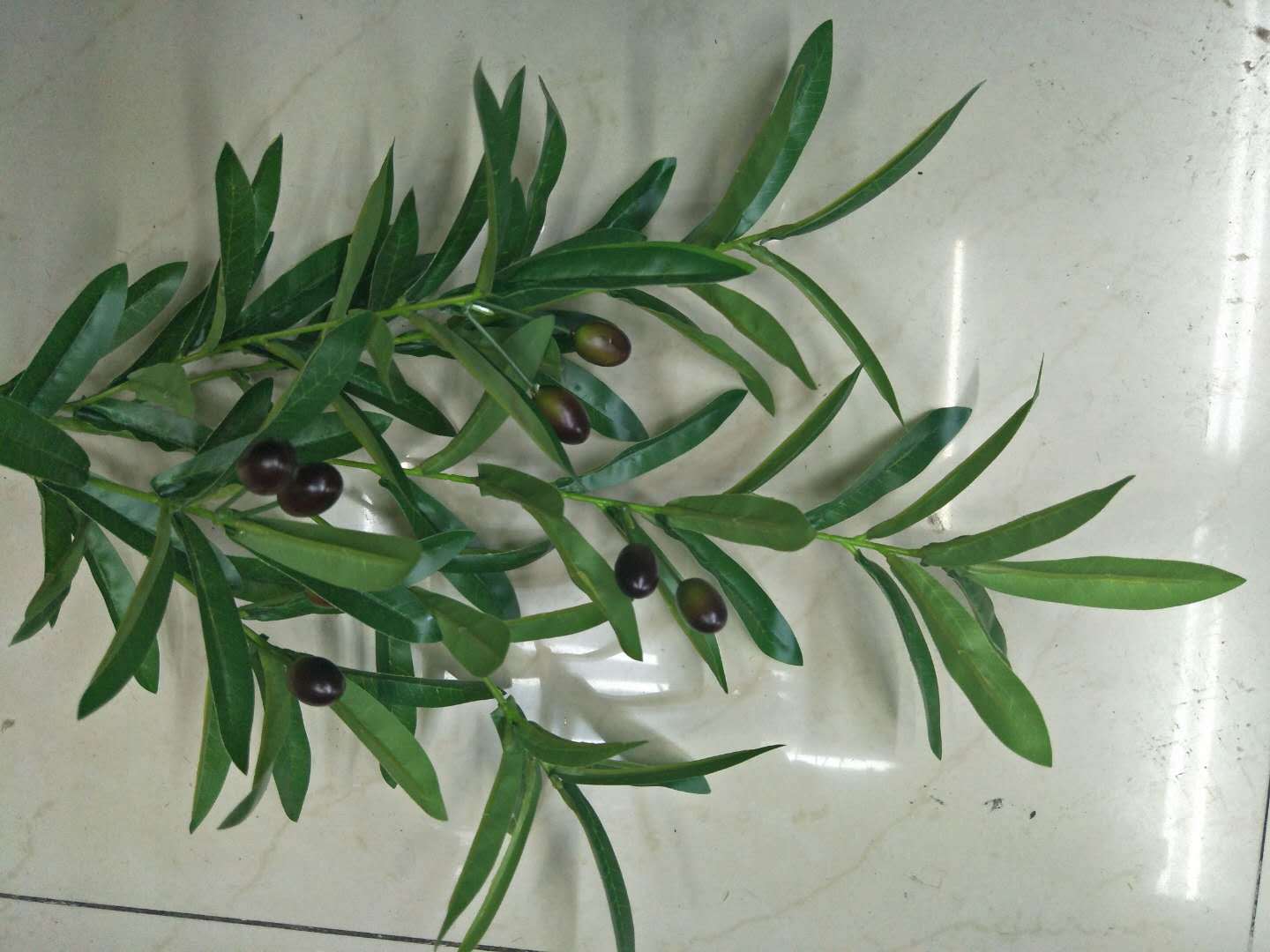 6-pronged olive branches, living room dining table, coffee table, vase, flower arrangement, wedding home flowers, wedding decoration, olive leaves pic 11