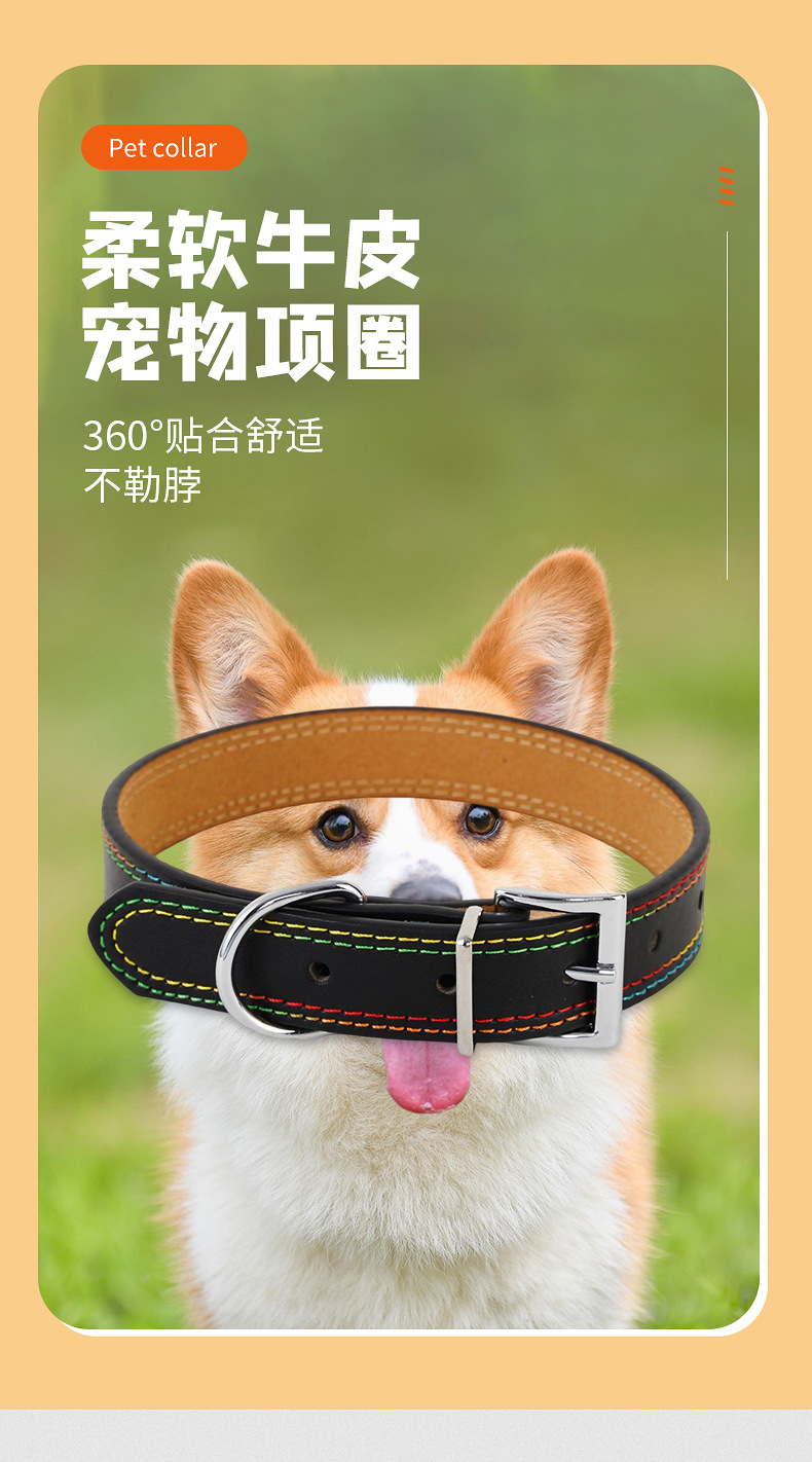 Wholesale of pet collars, super-fine leather dog leashes, large, medium and small dog neck collars and cat and dog neck collars from the manufacturer pic 8