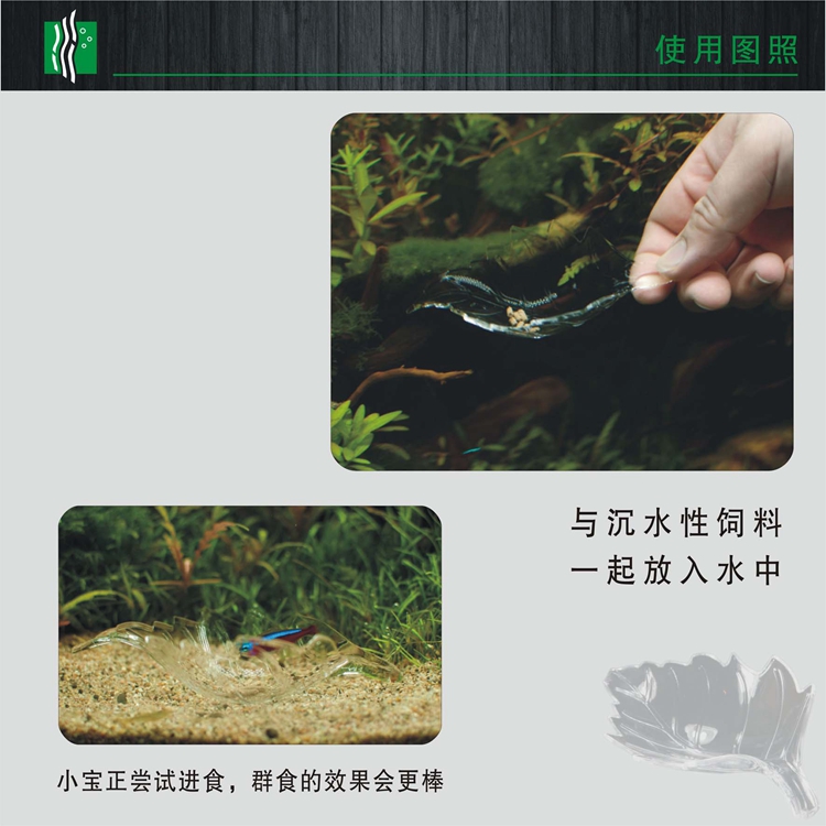 Leaf-shaped crystal shrimp feeding basin, acrylic feeding basin, ornamental shrimp feeder, feeding basin, feeding tube, shrimp food tray pic 2