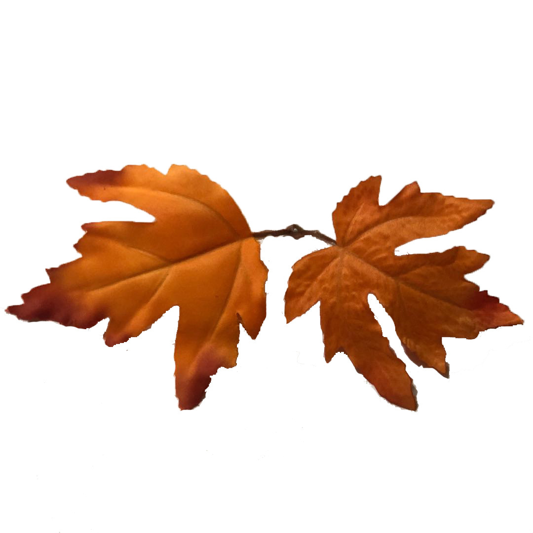 Artificial plant leaves, maple leaves, double-leaf flower arrangement accessories, leaves for engineering greening, outdoor landscaping and decoration, leaf trims pic 10