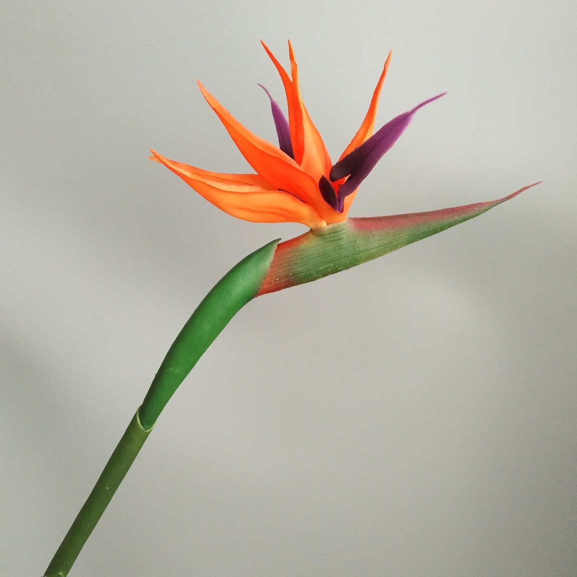 Soft rubber paradise Bird Crane Orchid New Chinese-style home model room decoration design, overseas wedding photography artificial flower pic 32