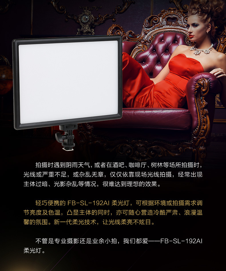 Fengbiao SL-192AI 19.5W fill light, built-in battery, photography light, beauty, portable phone fill light pic 2