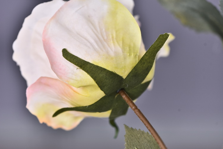 5 pieces of retro charred edge rose artificial flower decoration, artificial flower imitation dried flower, home soft decoration withered and dry, wedding Lanjin artificial rose wholesale pic 78