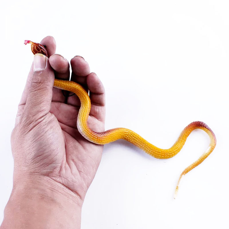 B1542 simulated small snake rubber fake snake pendant, street stall toy, scare toy, toy wholesale pic 6