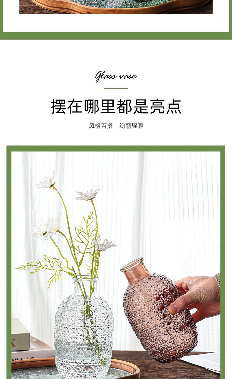 跨境新品 欧式风格 玻璃花瓶 ins风格 客厅桌面水养 插花瓶 创意装饰花瓶 水培摆设 其他分类详情3