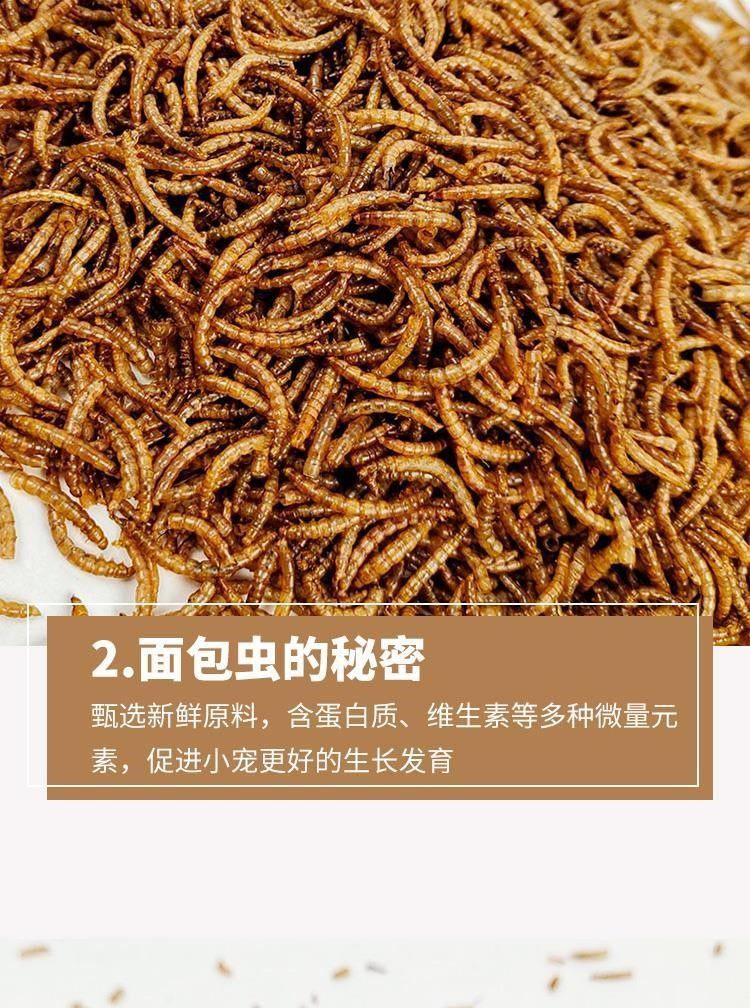 宠物零食面包虫干仓鼠刺猬粮食小龟粮用品主粮鸟零食厂家直销批发详情9