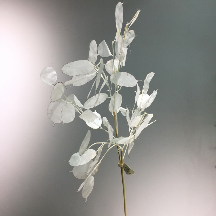 【 Factory Direct Sales Wholesale 】 Dongli offers direct supply of living room home decoration artificial dried flowers wholesale and artificial silver fan leaves in stock pic 5
