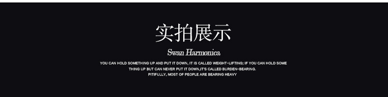 正品天鹅银色口琴10孔C调布鲁斯口琴初学演奏十孔口琴详情5