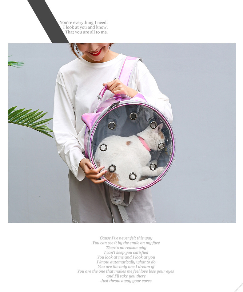 Transparent portable cat bag for going out, hamster bag for pets to take away, backpack for carrying, breathable schoolbag, space capsule cat bag pic 9