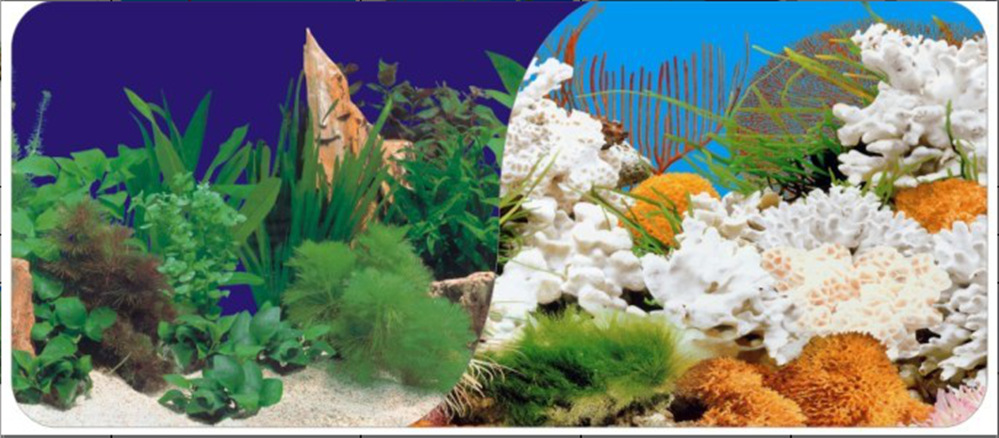 60cm double-sided thick fish tank background painting aquarium decoration background painting can be customized for multiple types of aquariums pic 6