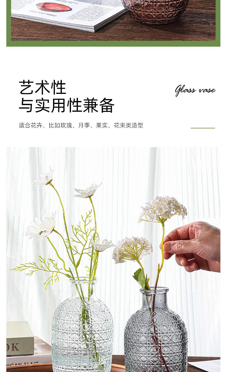 跨境新品 欧式风格 玻璃花瓶 ins风格 客厅桌面水养 插花瓶 创意装饰花瓶 水培摆设 其他分类详情6