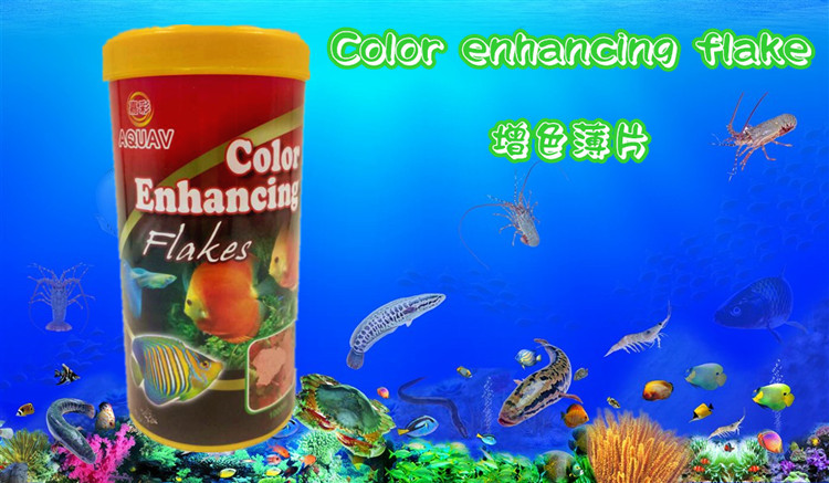 The manufacturer wholesals new export goldfish thin sheet color-enhancing and nutritious feed, koi fish food, and small ornamental fish food pic 23