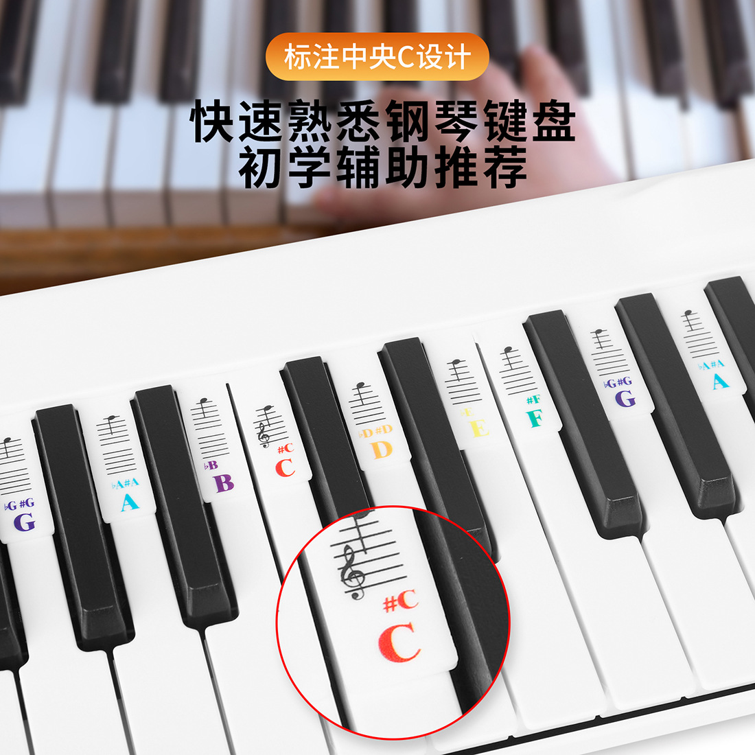 SLADE 88键61键钢琴贴硅胶可拆卸免粘电子琴键盘贴音符条乐谱指南详情5