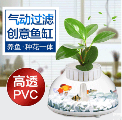 Lazy fish tank landscape ecological bottle, small mini fish tank, Office desktop fish tank, golden fish tank, creative ornamental tank pic 23