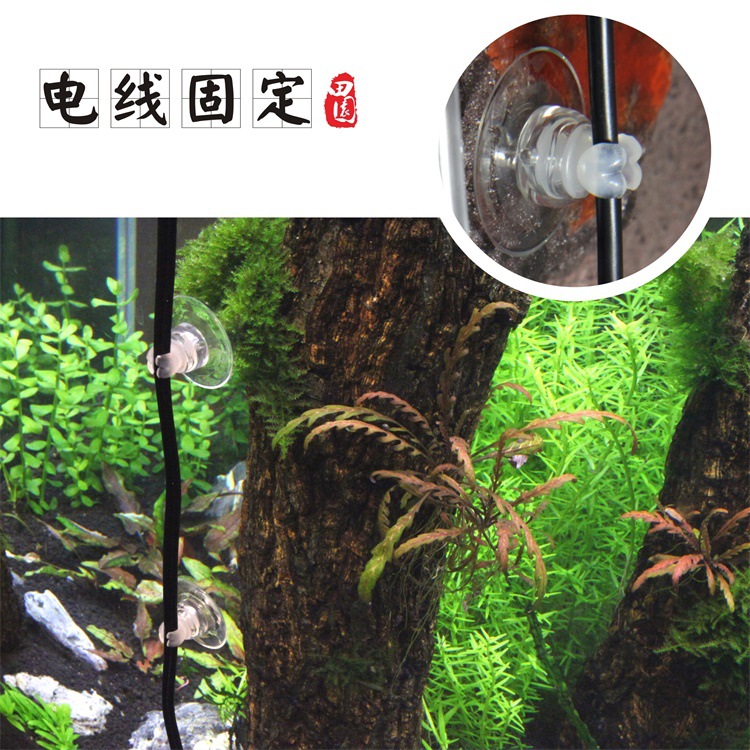 Heart-shaped tube clamp (fixing the refiner, glass, tube, thermometer, probe and other 4 assemblies) pic 5