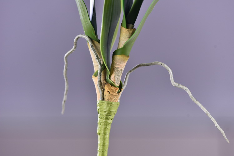 Factory direct sales of high-end artificial dendrobium, wholesale of artificial flowers with leaves, home decoration of Phalaenopsis and Lanjin artificial plants pic 9