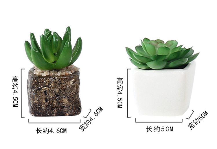 Factory wholesale mini artificial succulent plant potted plants, online store shooting props, desktop office decoration ornaments, artificial potted plants pic 9