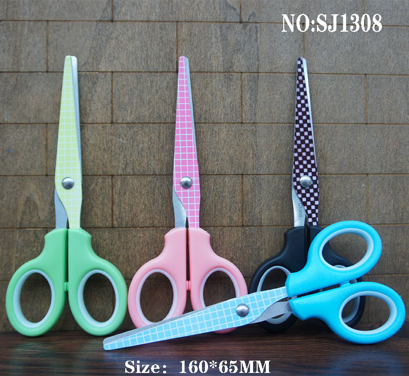 SJ1308.jpg