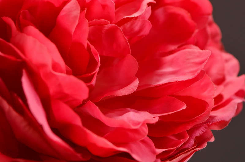 Wholesale of artificial large-branch peonies for home, hotel, restaurant soft decoration, artificial flowers and artificial paeonies from the manufacturer pic 19