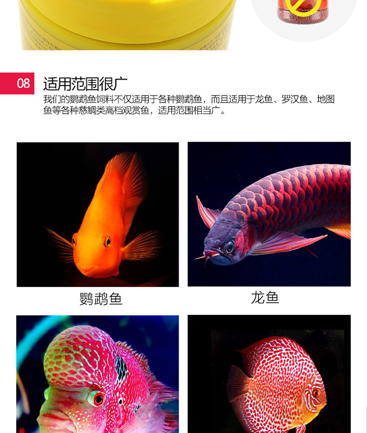 Wholesale of natural green fish food and red medium-sized ornamental fish feed for Xirui Flower parrot fish pic 39