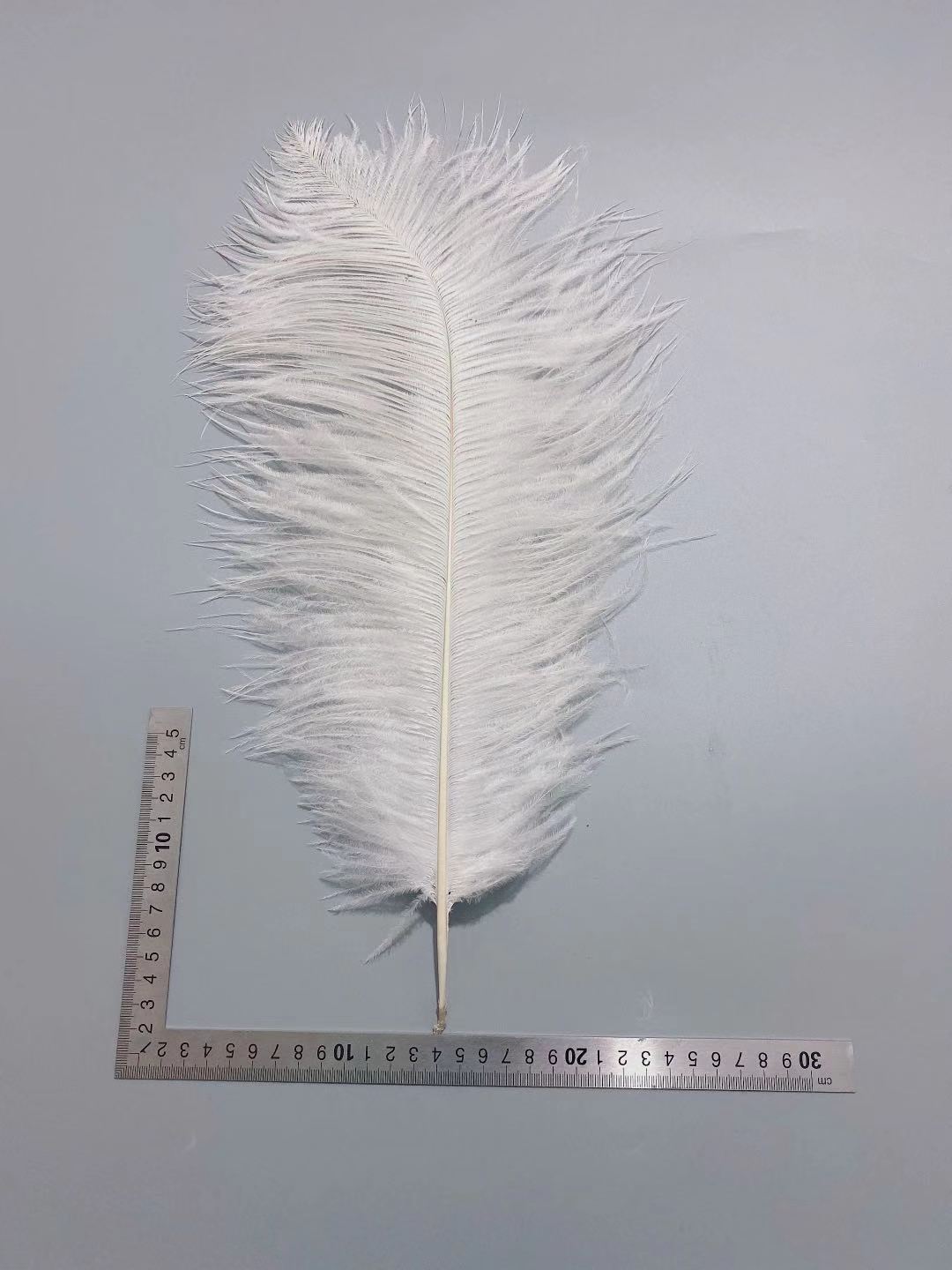 White ostrich feathers 50-55 cm, wedding decoration, home furnishings, flower arrangements, feather lamps, colorful ostrich feathers pic 36