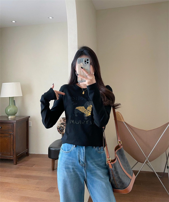 Playful and youthful embroidered printed puppy loose straight top straight-shoulder round-neck long-sleeved T-shirt for women 2025 early Spring G021418 pic 34