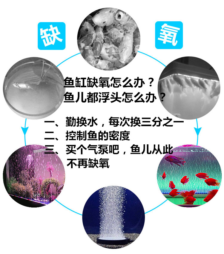 鱼缸车充氧气泵车载插电或干电池两用单孔增氧泵车载户外详情32