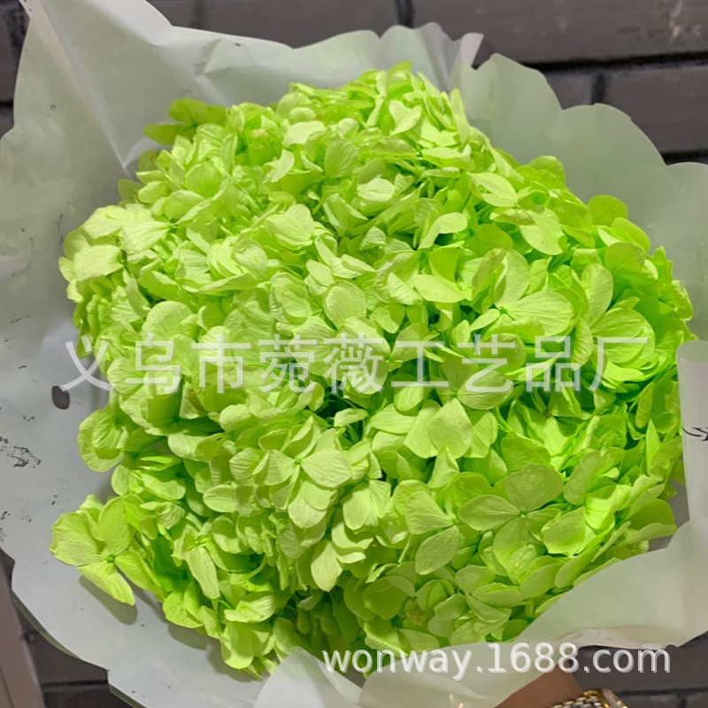 Natural plant, evergreen, large-leaf hydrangea, flower arrangement, handicrafts, soft furnishing grass pic 2