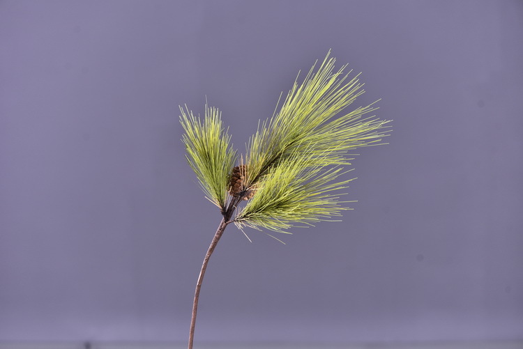 Factory direct sales of artificial Masson pine, Wabi-sabi style, Chinese Zen style artificial plants, wedding and banquet decoration green plants, pine needles pic 21