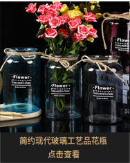 Simple transparent glass vase, two-color diamond, fresh and delicate flower arrangement, retro colorful craft display piece pic 9